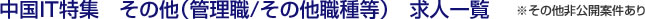 中国IT特集　その他（管理職/その他職種等）　求人一覧