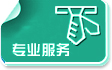专业服务